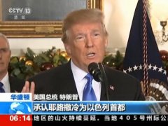 其后欧洲多国参取美国从导利亚结合空袭